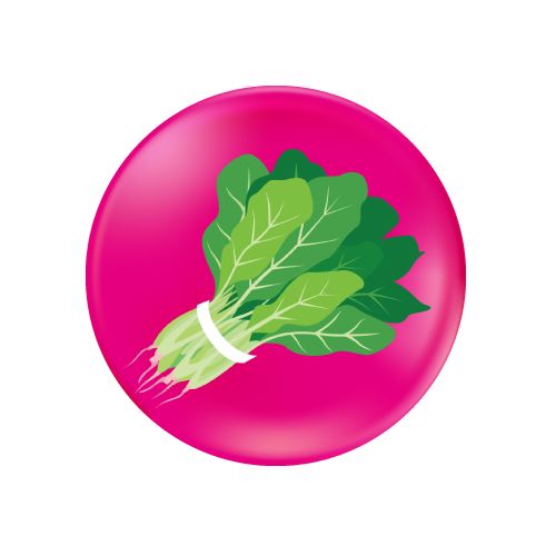 VIP mami Quattro, doplnok stravy, kyselina listová, vitamíny, minerály, quatrefolic, Kyselina listová