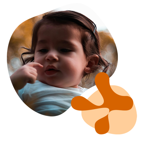 Salvest Ponn štáva mrkev