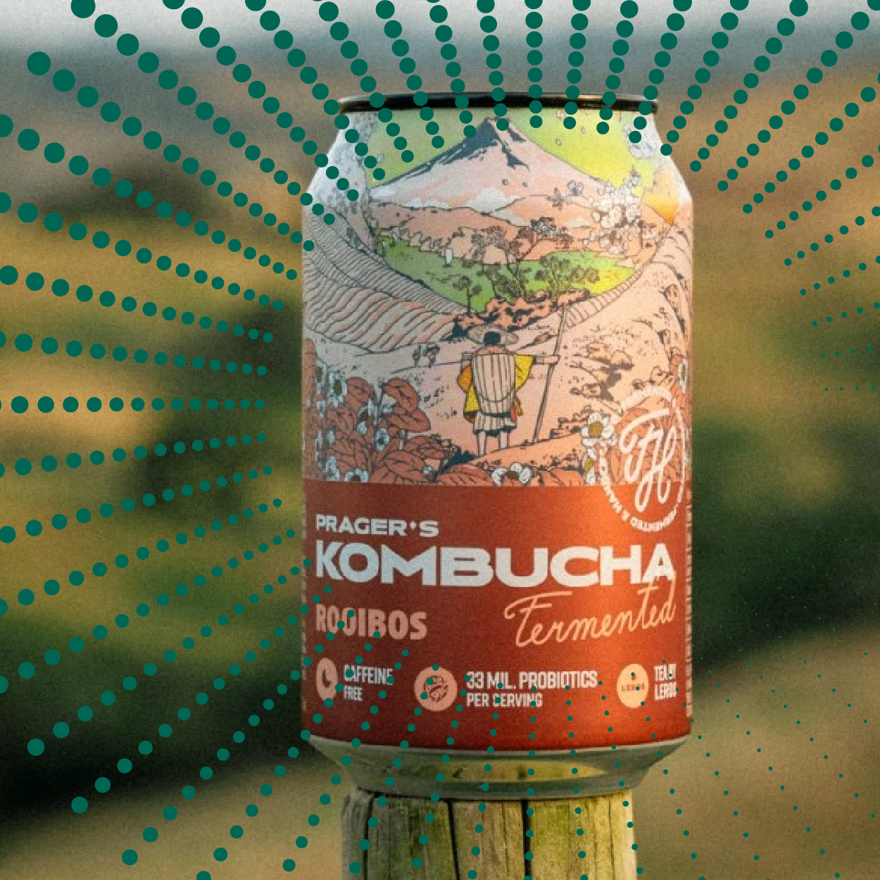 Prager's Kombucha Rooibos 330 ml