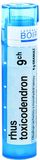 Boiron Rhus Toxicodendron CH9 granule 4 g