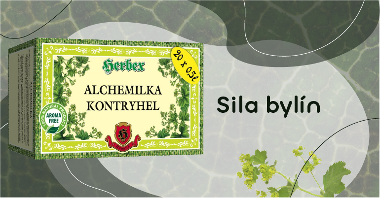 banner, alchemilka