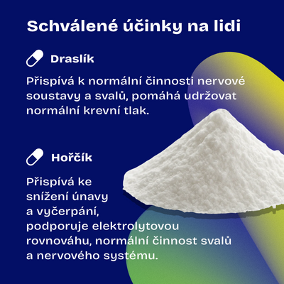 Daily Bioactive Potassium + Magnesium 90 kapslí