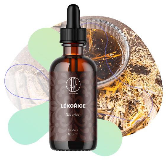 Lékořice, trávení, imunitní systém, duševní zdraví, močový a reprodukční systém