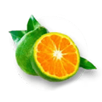 Mandarinka
