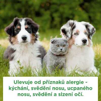 Flixonase 50 mcg nosní sprej 60 dávek