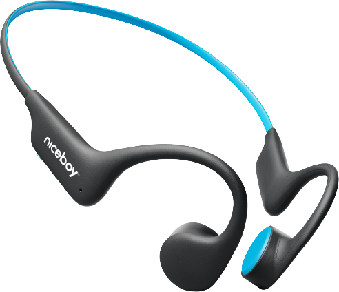 Niceboy HIVE Bones 3