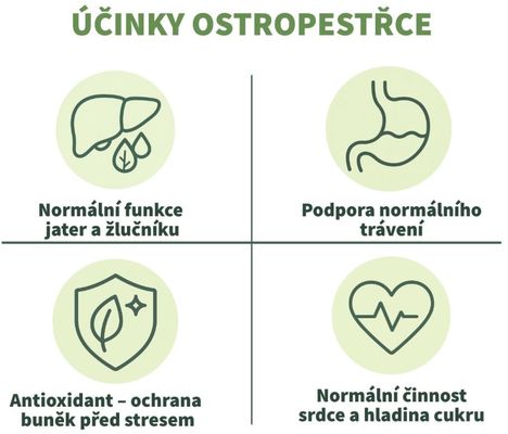 Botanic Ostropestřec mariánský - Extrakt 10:1, 20 g