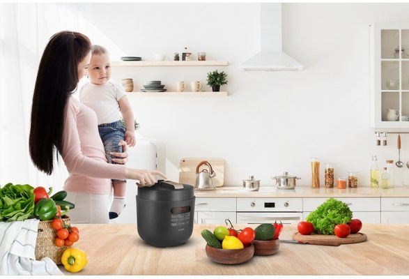 Lauben Electric Pressure Cooker 5000AT
