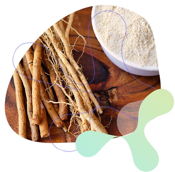 Sibiřský ženšen, obranyschopnost, fyzická a duševní pohoda, kognitivní a duševní výkonnost