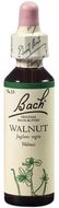 Dr. Bach Walnut 20 ml