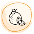 Citrus aurantium