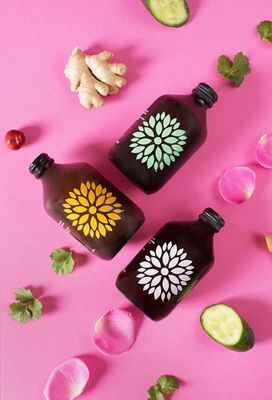 Vigo Kombucha | Kurkuma + zázvor BIO 330 ml