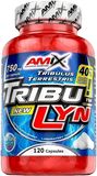 Amix TribuLyn 40% 750mg, 120 kapslí
