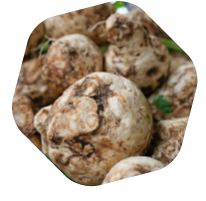 maca