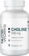 NutriWorks Choline 500mg 90 kapslí
