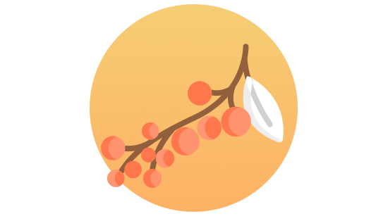 Rakytník