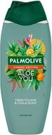 Palmolive Forest Edition Aloe You sprchový gel 500 ml