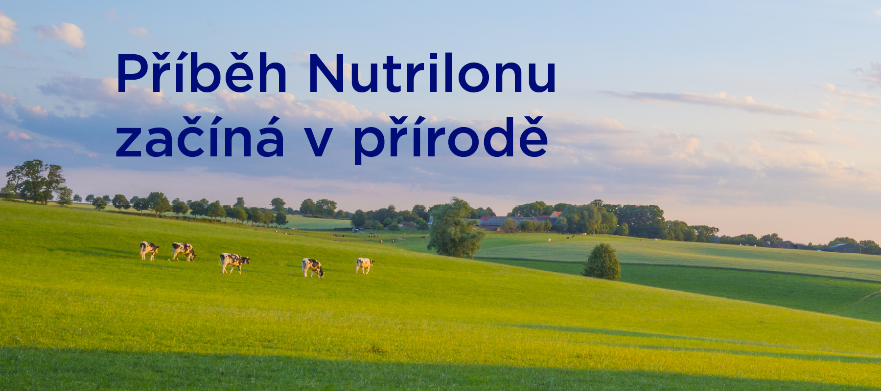 nutrilon