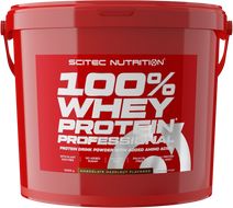 SciTec Nutrition 100% Whey Protein Professional čokoláda/lískový oříšek 5000 g
