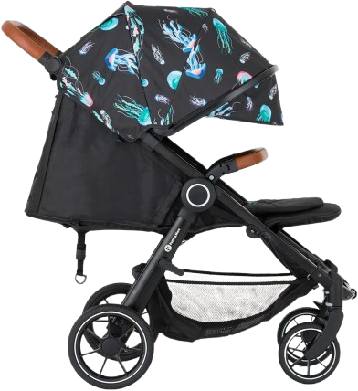 Petite&Mars Kočárek sportovní Street2 RWS Oak Limited 100 Jellyfish