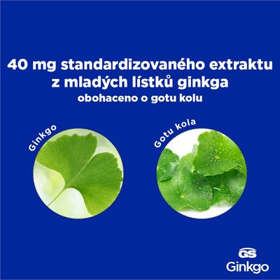 GS Ginkgo 40mg 90 + 30 tablet