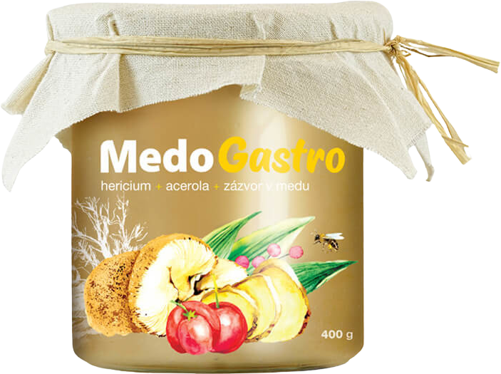 MycoMedica MedoGastro 400 g