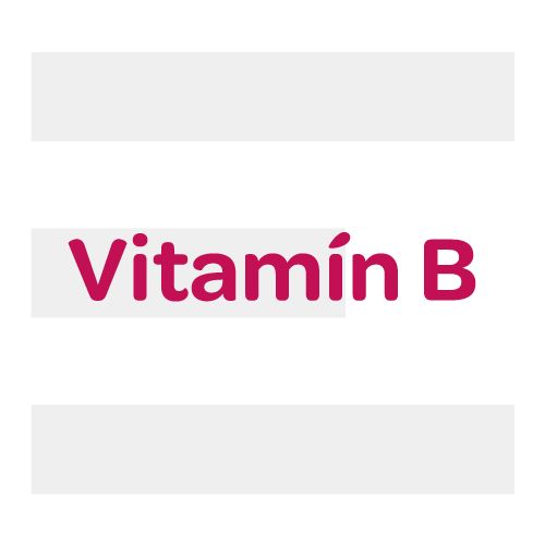 revitanerv, nervová sústava, vitamín B, Niacín, Selén, minerály, Vitamíny B6 a B1