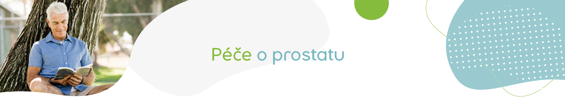 Prostata