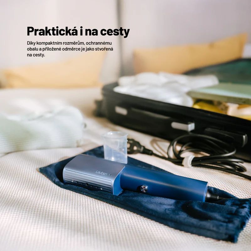 Lauben Handheld Steam Iron 900GB