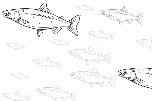 Walmark, Omega-3