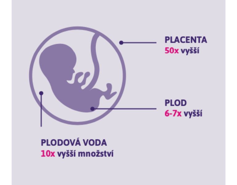 femibion, vývoj plodu