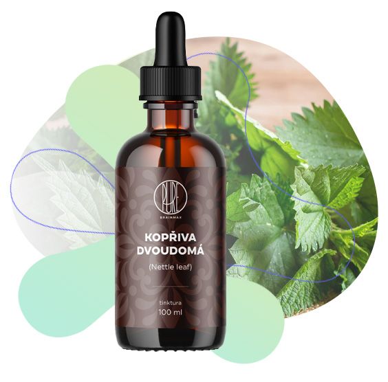 Kopřiva dvoudomá, glukóza v krvi, ledviny, močové cesty, prostata, imunitní systém