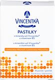 Vincentka pastilky ovocné 18 pastilek
