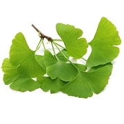 Ginkgo biloba 24/6 60 mg