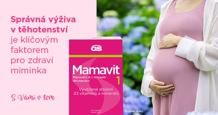 GS Mamavit 1 Plánování a 1.trimestr