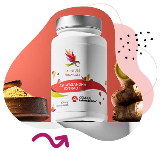 Ashwagandha, stres, úzkosti, relaxace, činnost srdce a kardiovaskulárního systému, fyzická vytrvalost