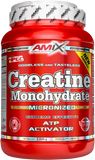 Amix Creatine monohydrate 1000 g