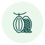ikona