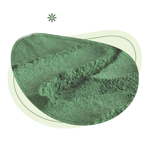 Bio, detox, detoxikační maska, spirulina, chlorella, purity vision, Spirulina a chlorela