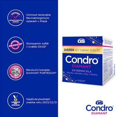 GS Condro DIAMANT 160 tablet