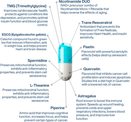 LifeUnlocked NAD+ Longevity complex AEON 60 kapslí