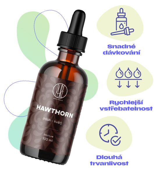 Hloh květ, usínání, činnost srdce, transport kyslíku, cévní systém