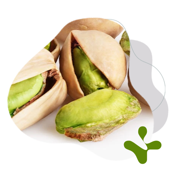 BrainMax Pure Protein Cookie