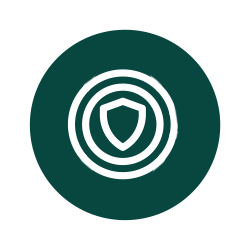 ikona