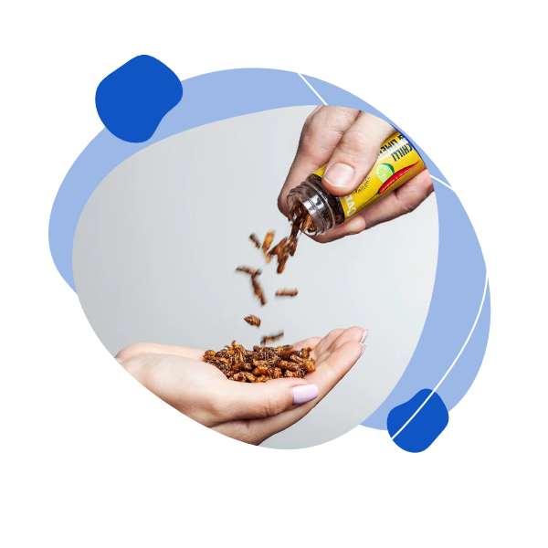 Sens Křupaví & pražení cvrčci 