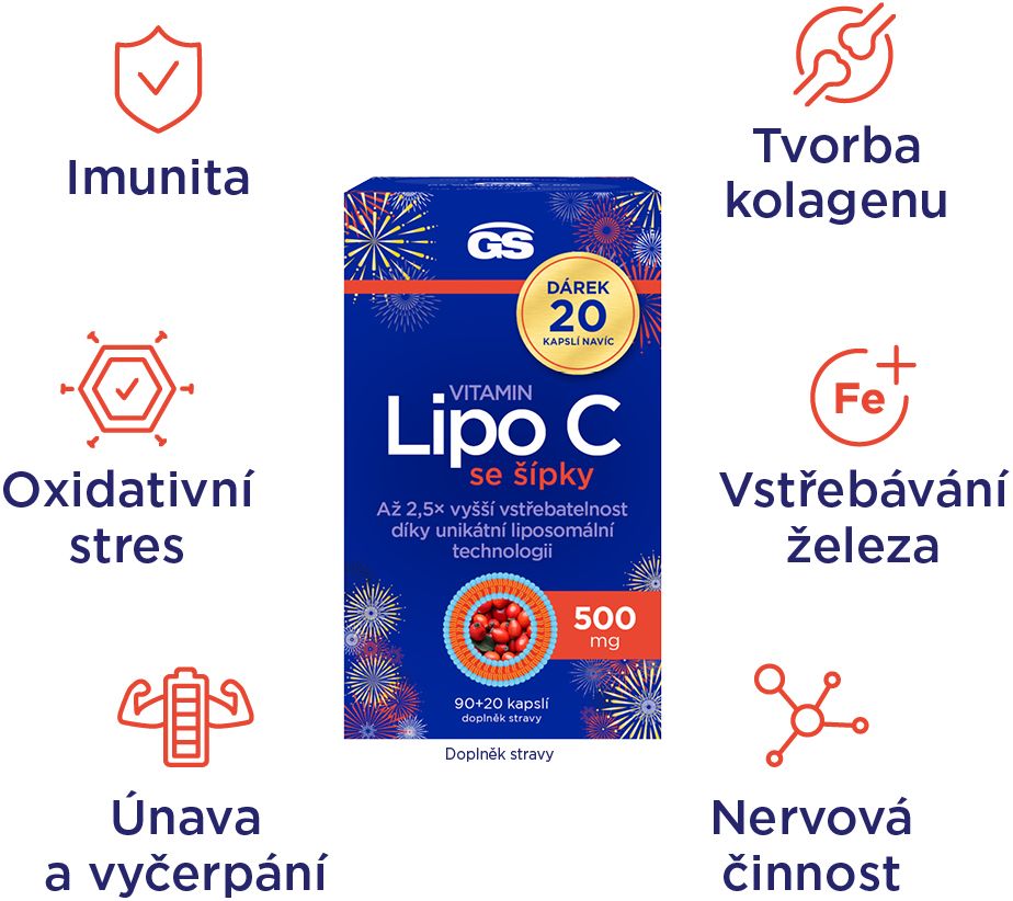 GS Vitamin Lipo C 500 mg se šípky 110 kapslí
