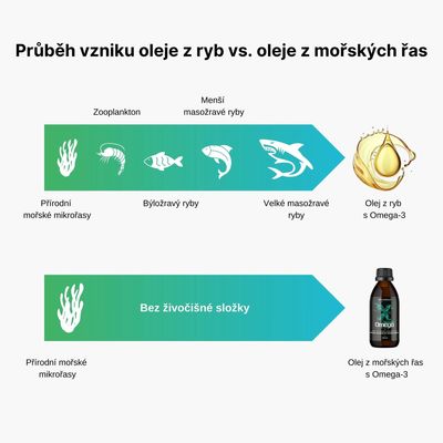 BrainMax Vegan Omega 3, 275 ml
