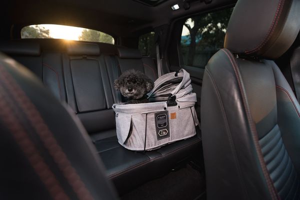 FIKAGO Nosič pro psy a kočky Sway2 Grey Husky