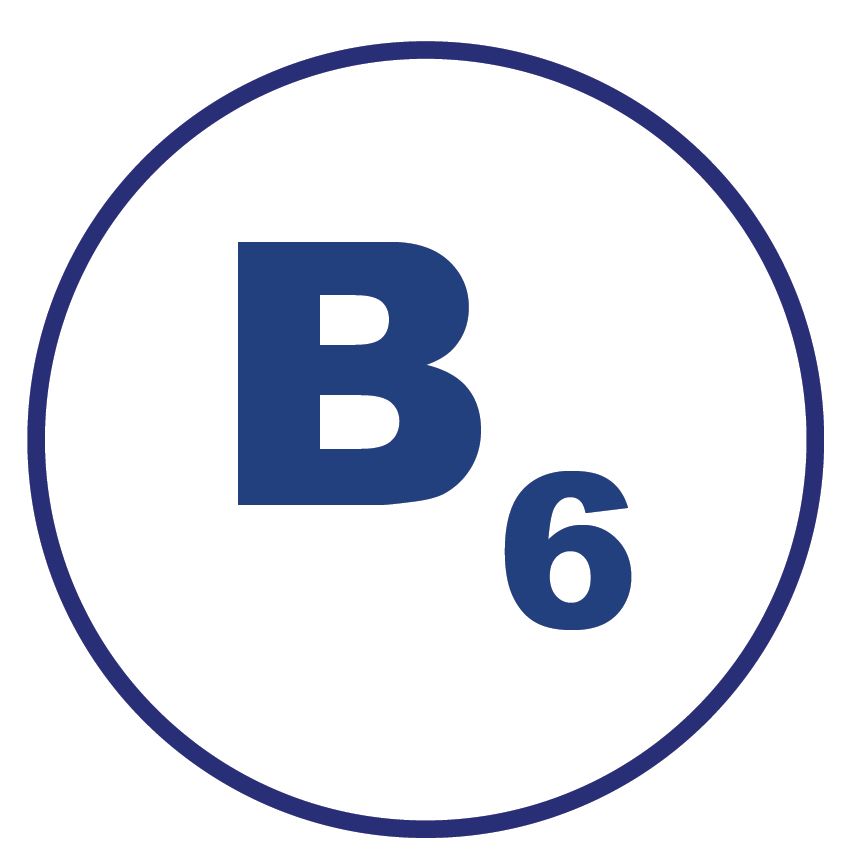 Magne B6 Forte Active