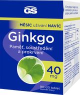 GS Ginkgo 40mg 90 +